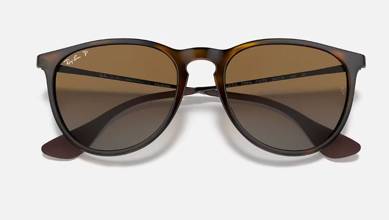 Óculos de Sol Ray Ban RB4171 - ERIKA CLASSIC